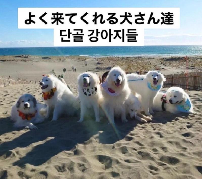 Plage Yuigahama Камакура Екстериор снимка